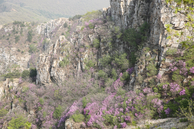 �������ǲ�(�й���)�ٷ���վ